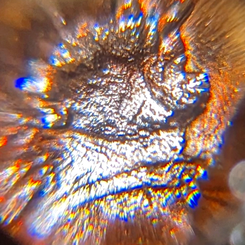 1984 Lincoln penny Double beard error